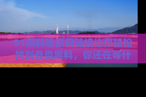 91黑料吃瓜网链接让你轻松找到各类黑料,你还在等什么呢?