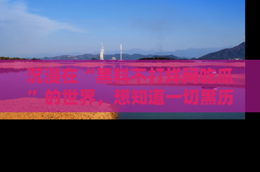 沉浸在“黑料不打烊网吃瓜”的世界，想知道一切黑历史与内幕信息的网站！