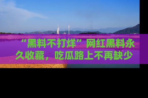 “黑料不打烊”网红黑料永久收藏,吃瓜路上不再缺少惊喜与乐趣