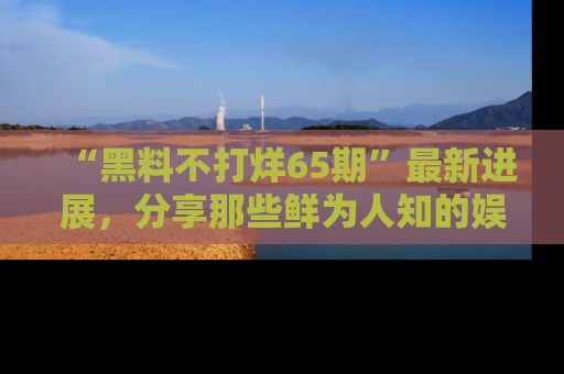 “黑料不打烊65期”最新进展,分享那些鲜为人知的娱乐八卦