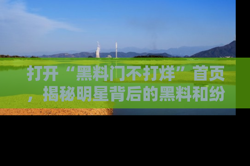 打开“黑料门不打烊”首页，揭秘明星背后的黑料和纷争真相！