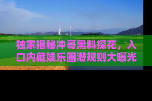 独家揭秘冲哥黑料探花，入口内藏娱乐圈潜规则大曝光