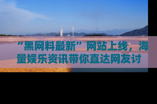 “黑网料最新”网站上线,海量娱乐资讯带你直达网友讨论的中心!
