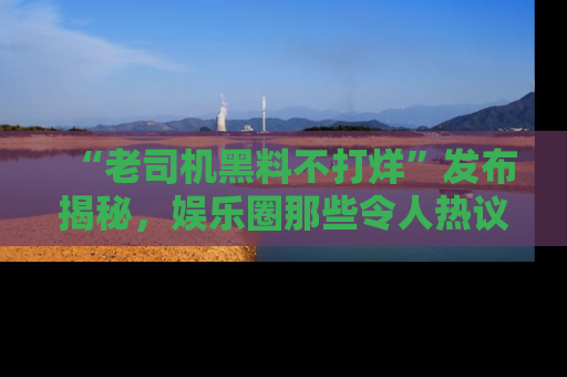 “老司机黑料不打烊”发布揭秘,娱乐圈那些令人热议的黑暗秘密!