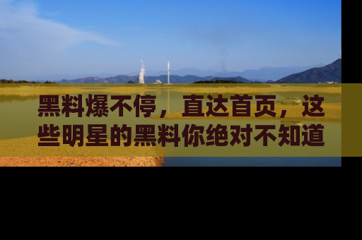 黑料爆不停，直达首页，这些明星的黑料你绝对不知道！