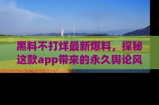 黑料不打烊最新爆料，探秘这款app带来的永久舆论风暴