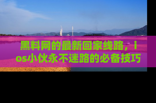 黑料网的最新回家线路，ios小伙永不迷路的必备技巧！