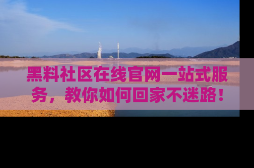 黑料社区在线官网一站式服务,教你如何回家不迷路!