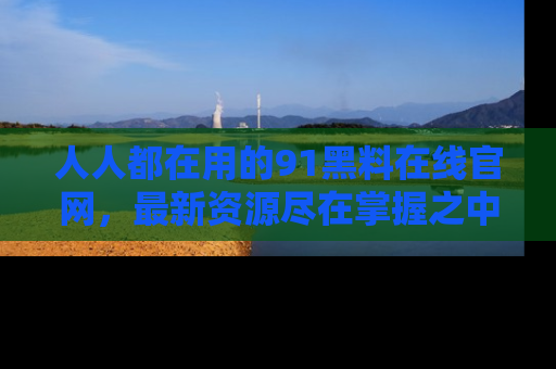人人都在用的91黑料在线官网，最新资源尽在掌握之中