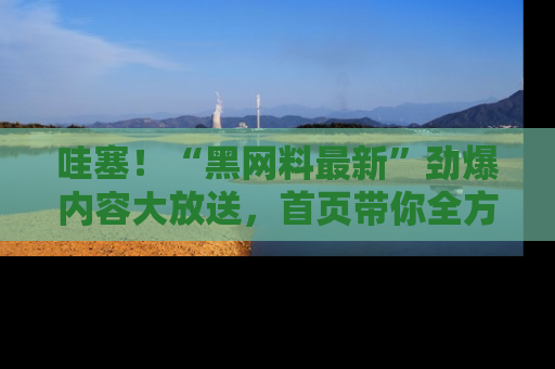 哇塞!“黑网料最新”劲爆内容大放送,首页带你全方位了解哦,小可爱们