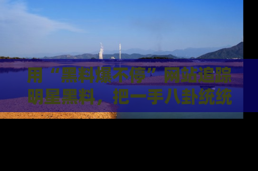 用“黑料爆不停”网站追踪明星黑料,把一手八卦统统收进你的后宫中!
