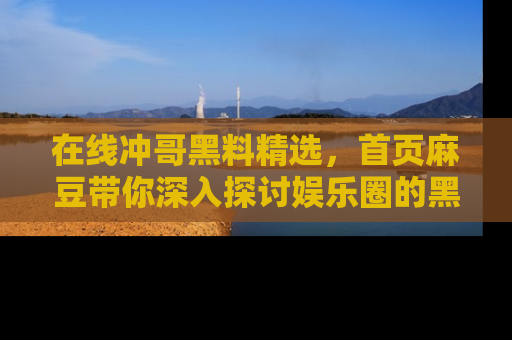 在线冲哥黑料精选,首页麻豆带你深入探讨娱乐圈的黑暗面