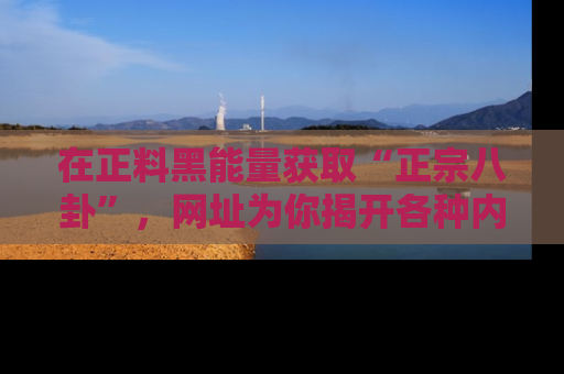在正料黑能量获取“正宗八卦”,网址为你揭开各种内幕故事!