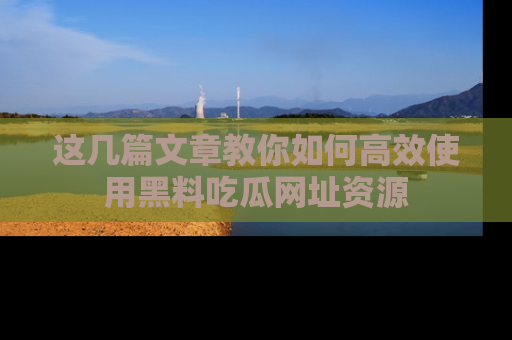 这几篇文章教你如何高效使用黑料吃瓜网址资源