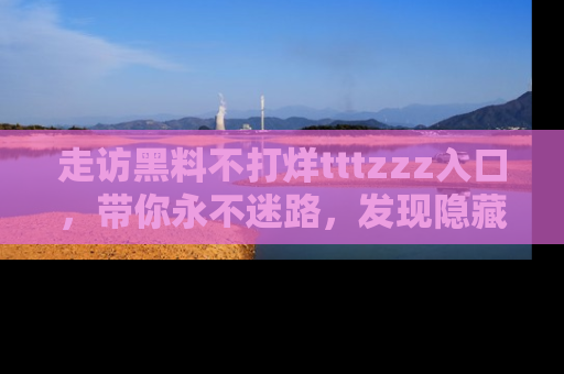 走访黑料不打烊tttzzz入口,带你永不迷路,发现隐藏的黑幕